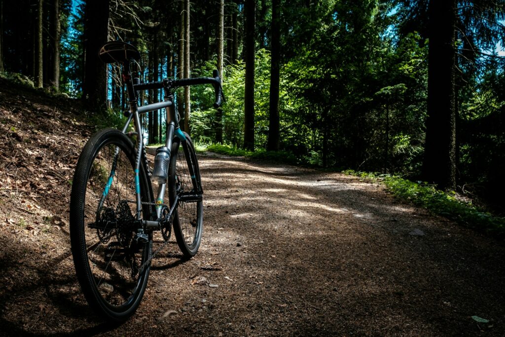 black and gray road bike near trees at daytime